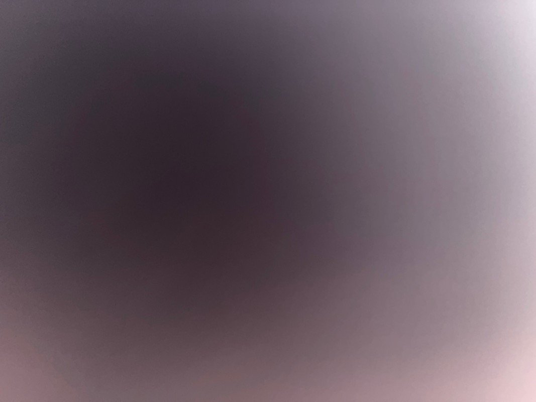 شيمه الشمري