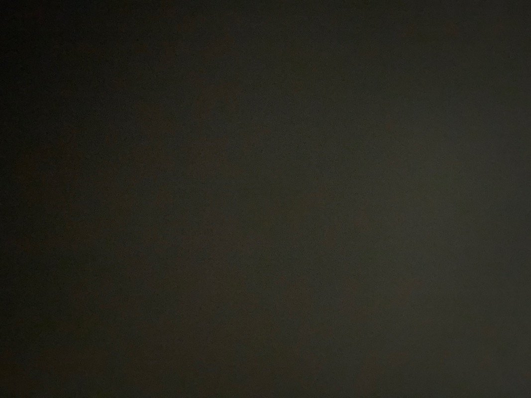 طيف المالكي