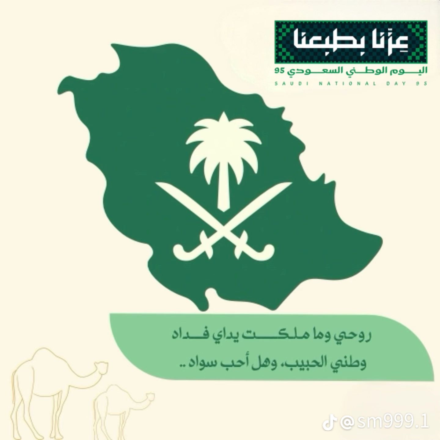 امنه الشواف