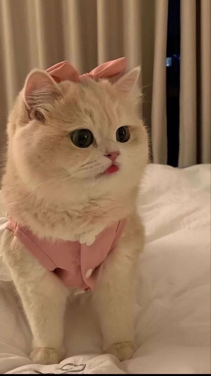 نهاد الجهني