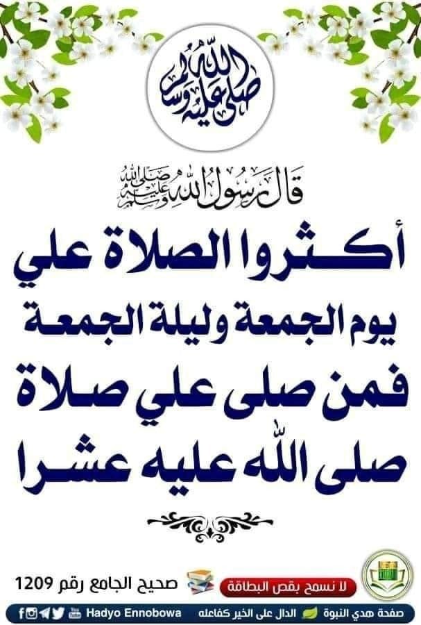 رؤى عبداللطيف كركدان