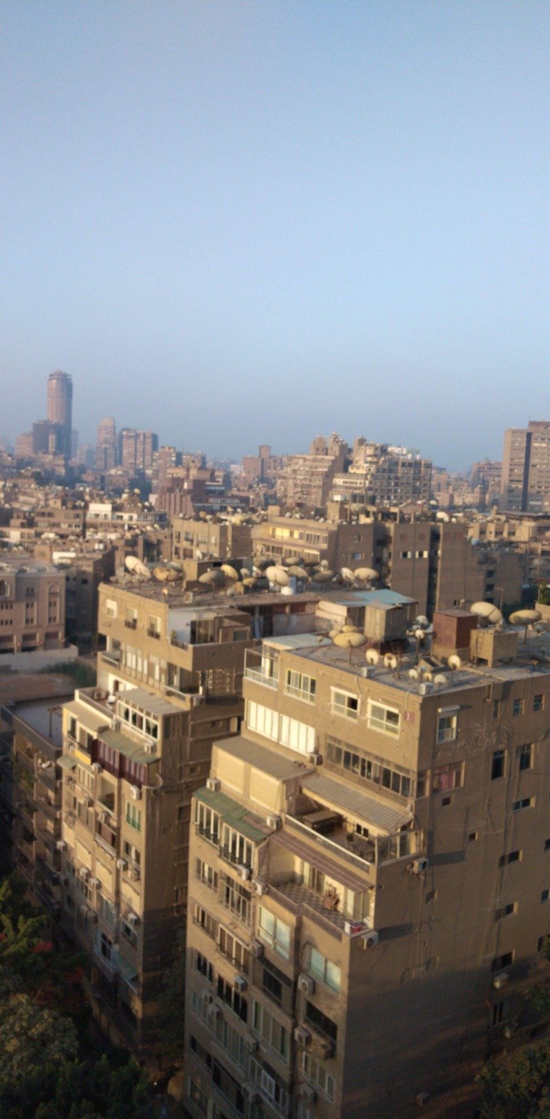 محمد الحارثي