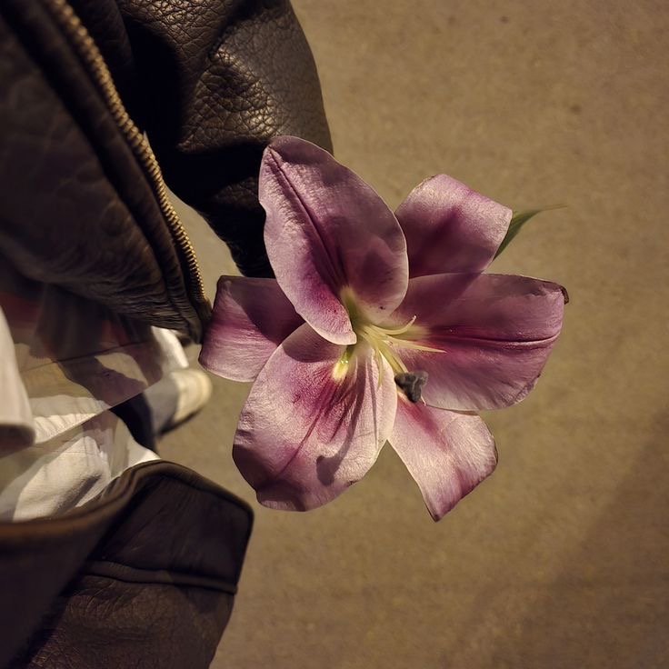 السبيعي سناء