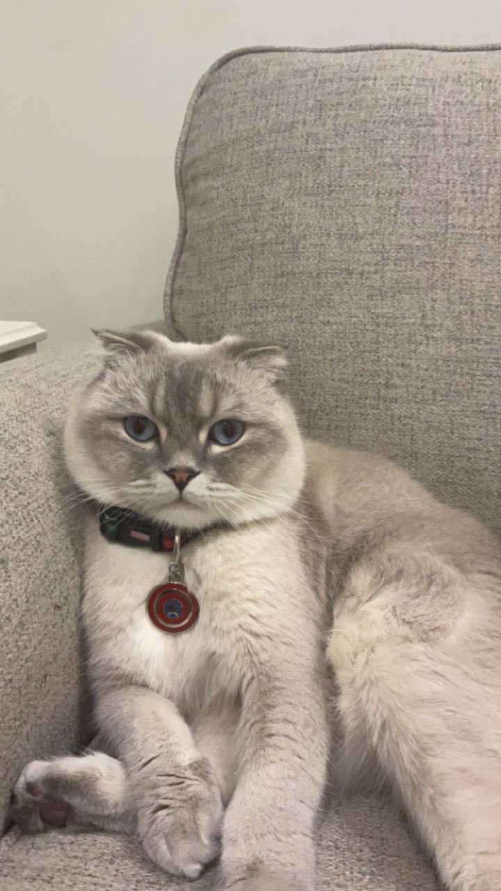 نوره العبدالوهاب