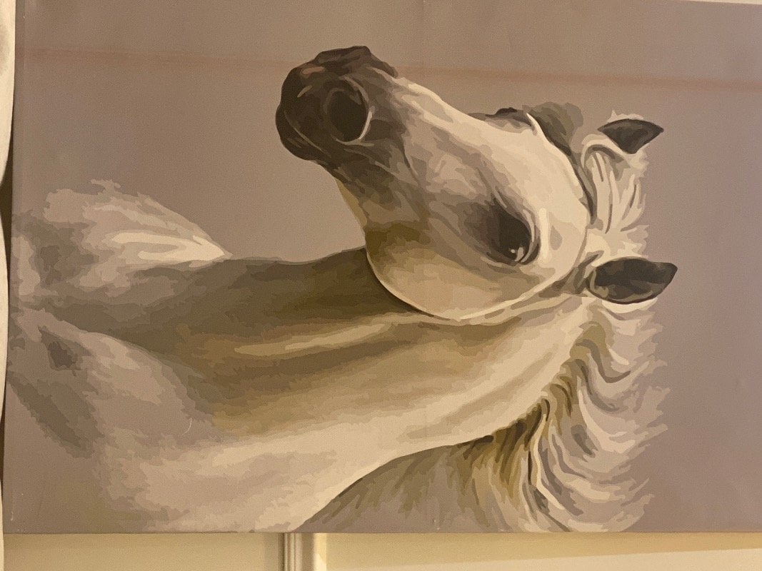 ساره القرني