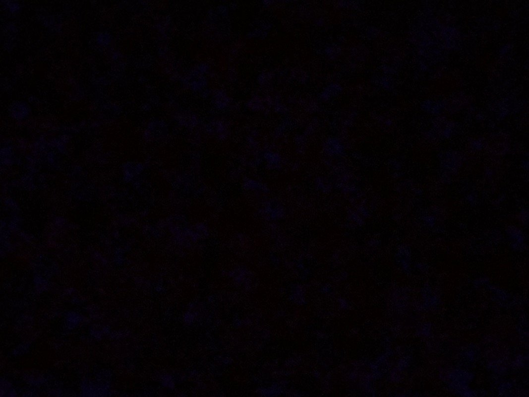 ريتاج السبيعي