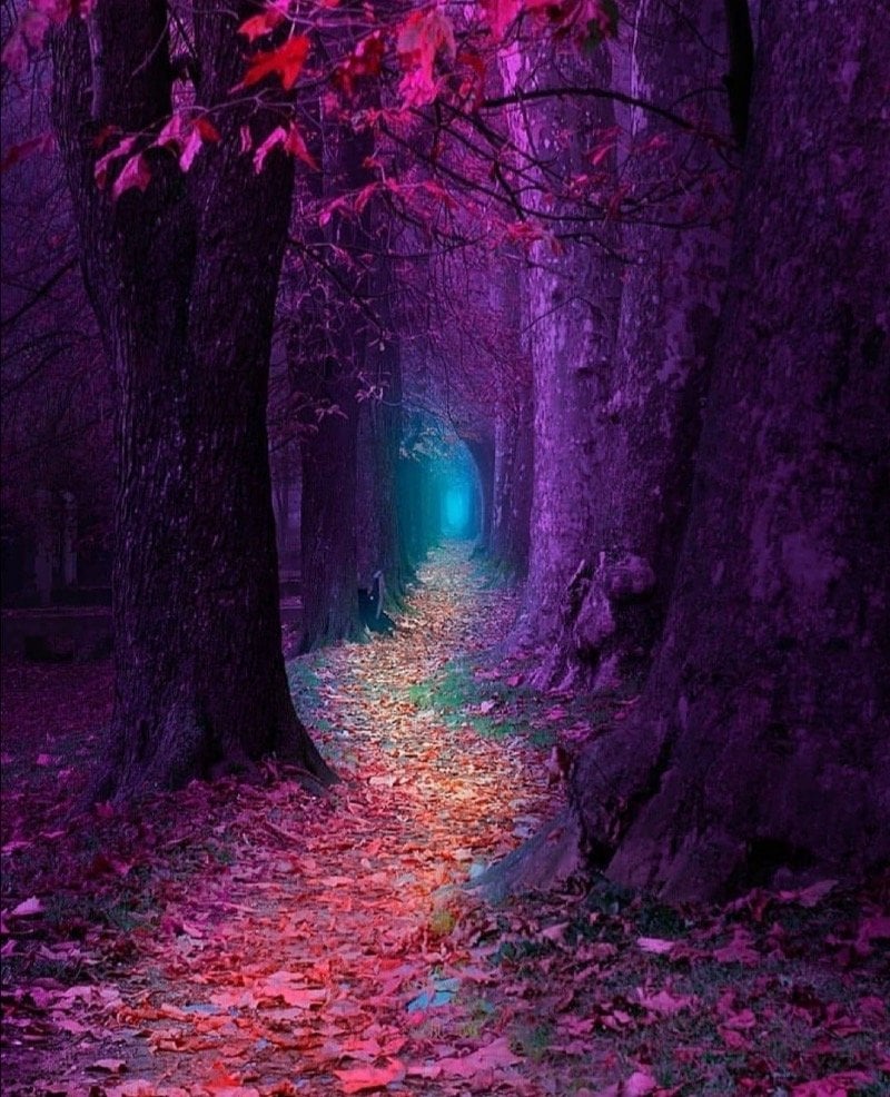 عبدالمحيد الشراري