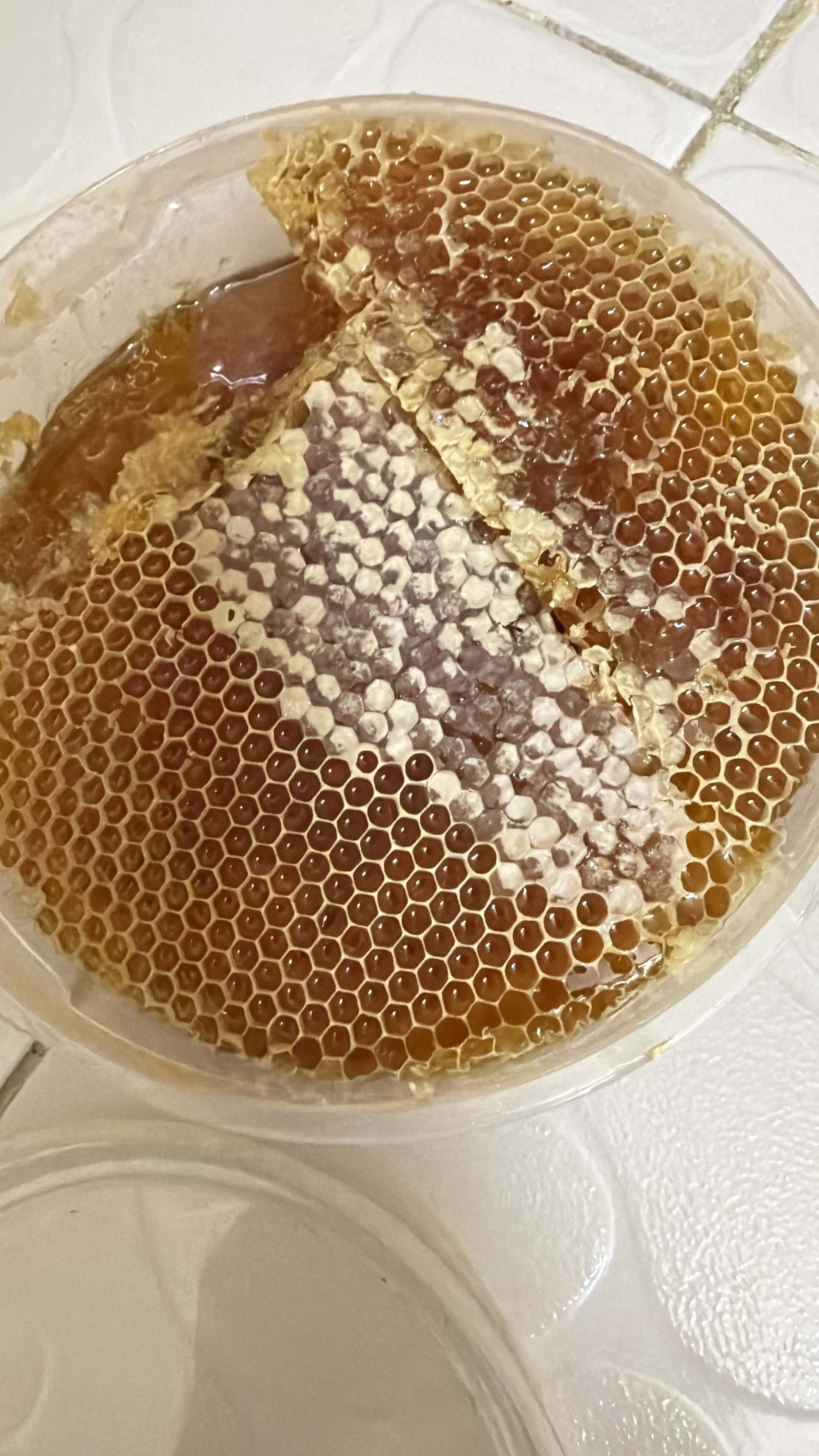 عبدالله بن منيف