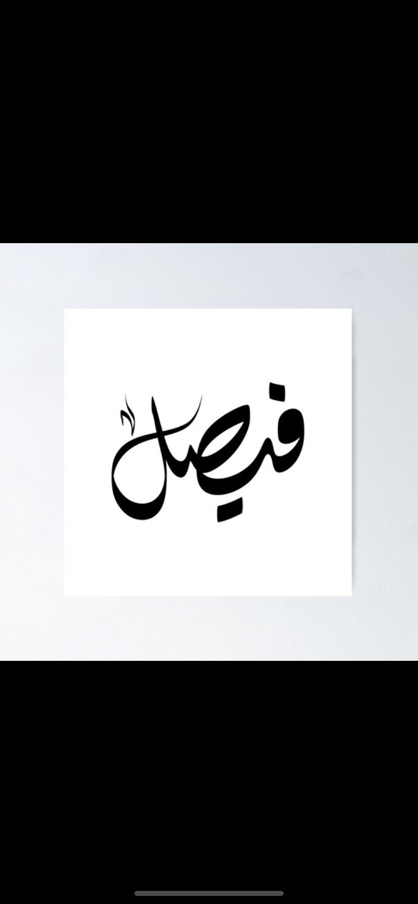 فيصل المطيري