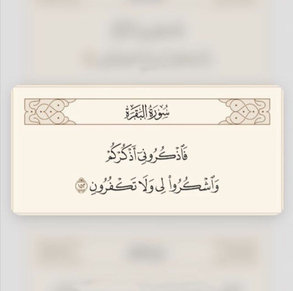 دلال النفيعي