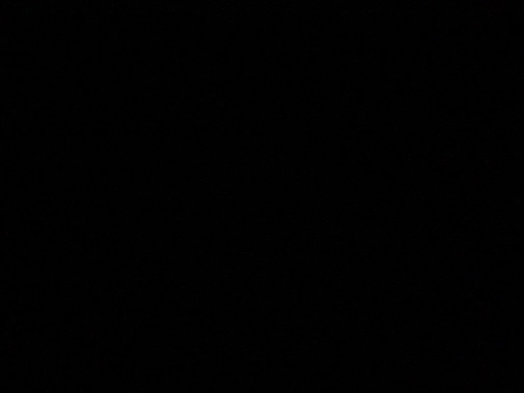 إيلان المحسن