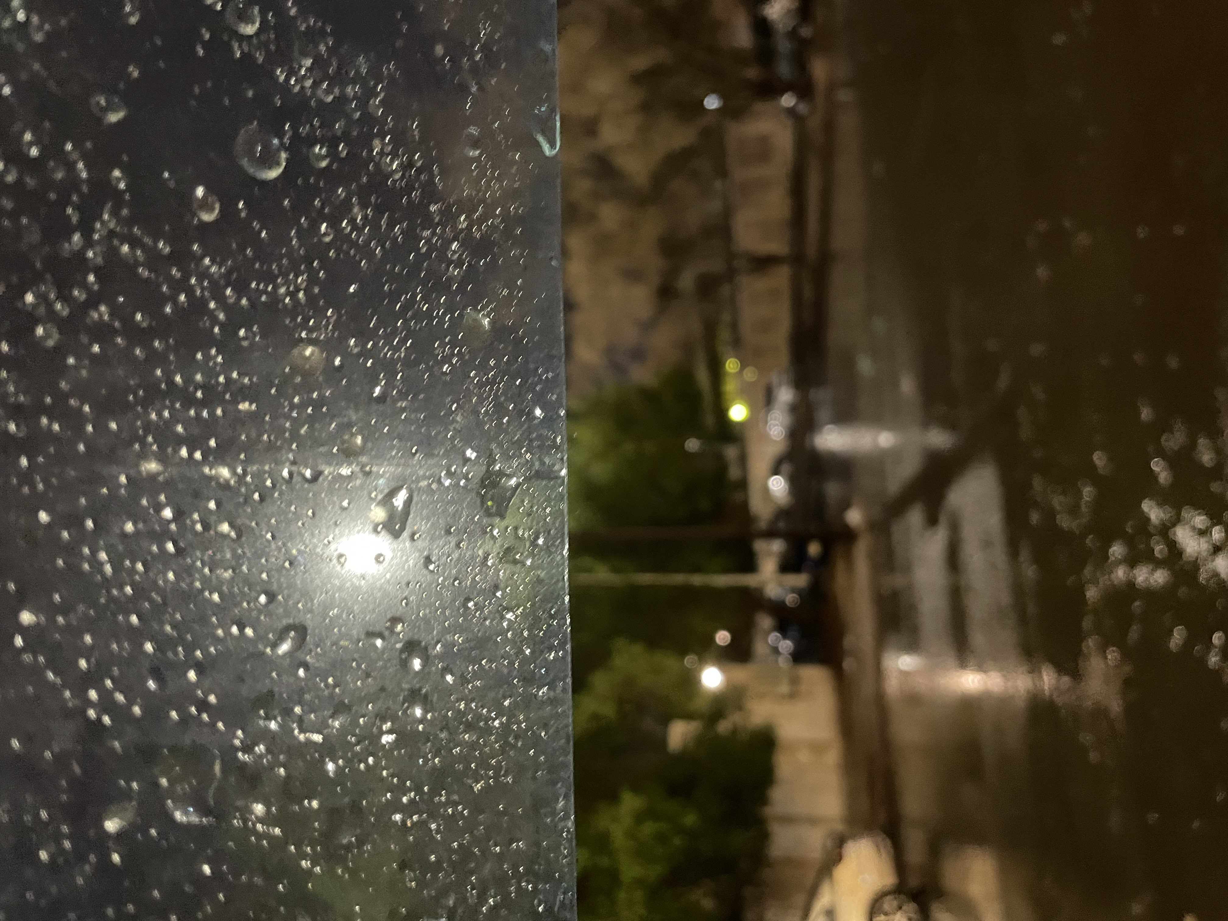 لمياء محمد