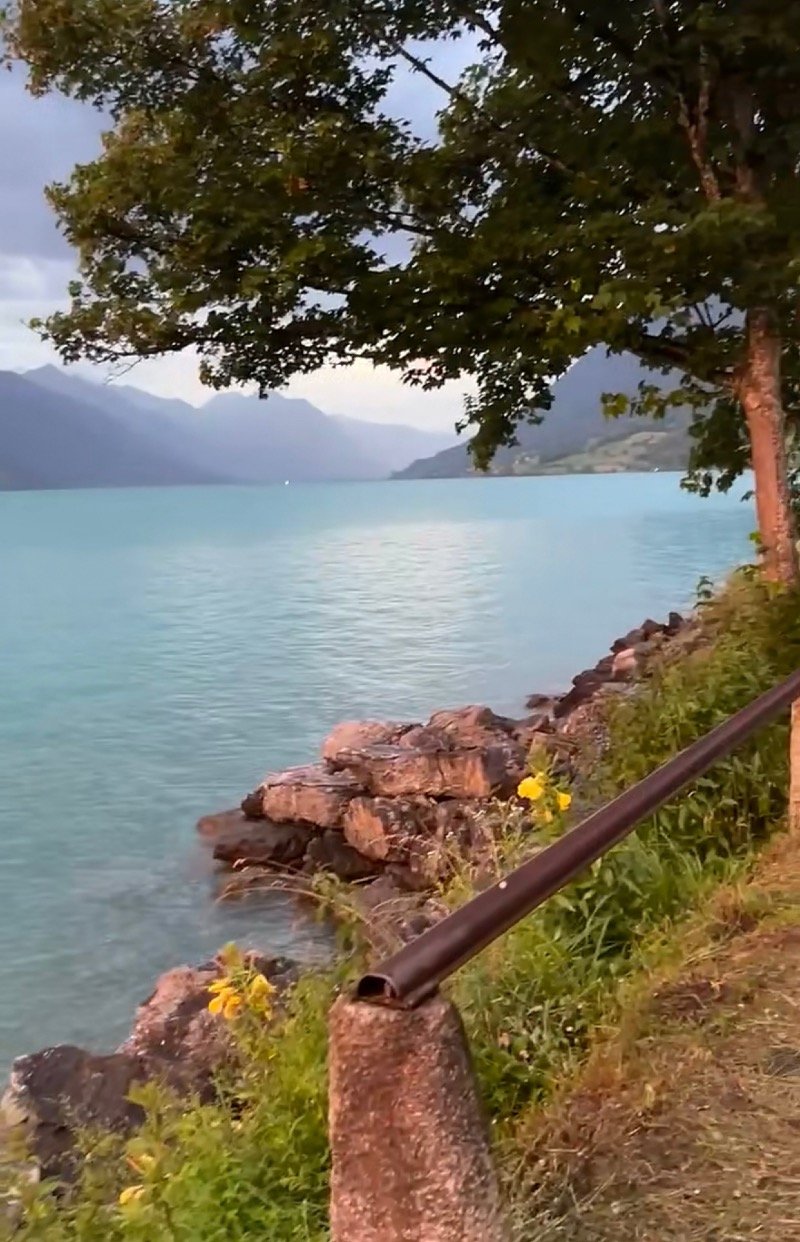 عبدالعزيز أحمد