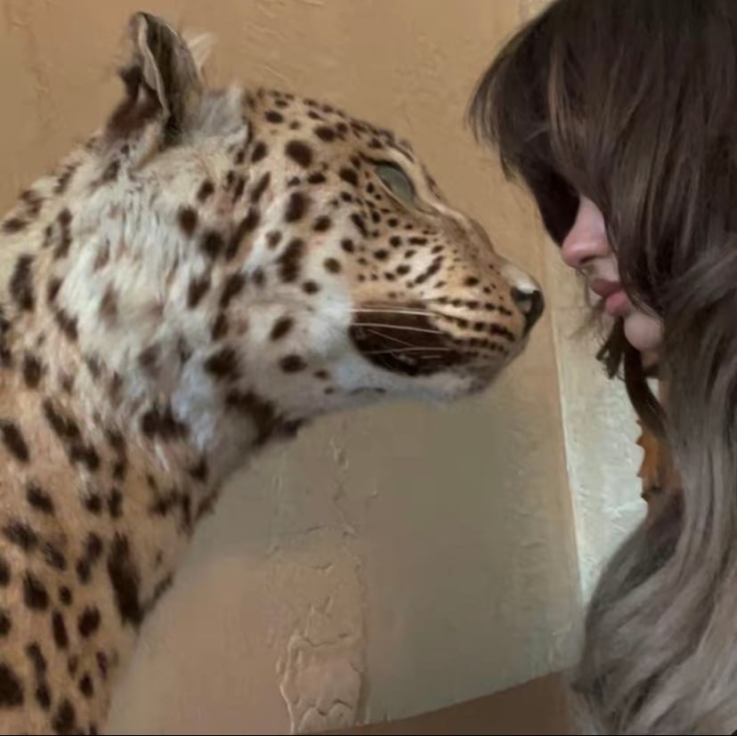 شروق العتيبي