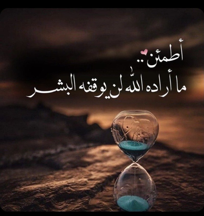 دلال بن جساس