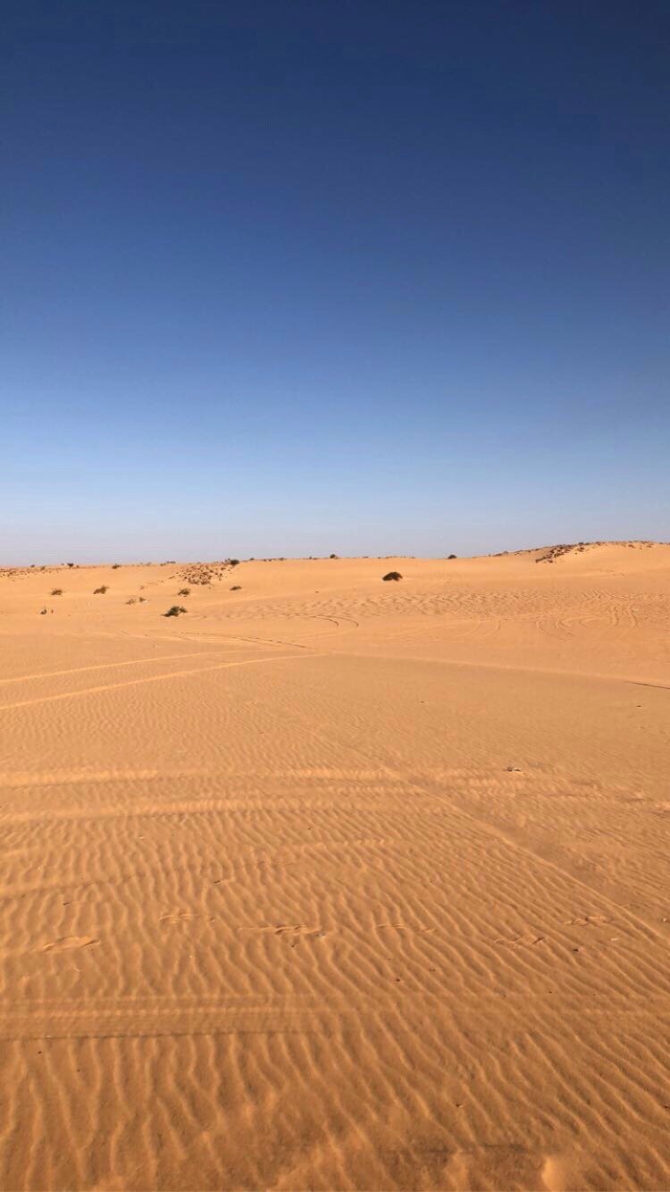 بشاير الدوسري