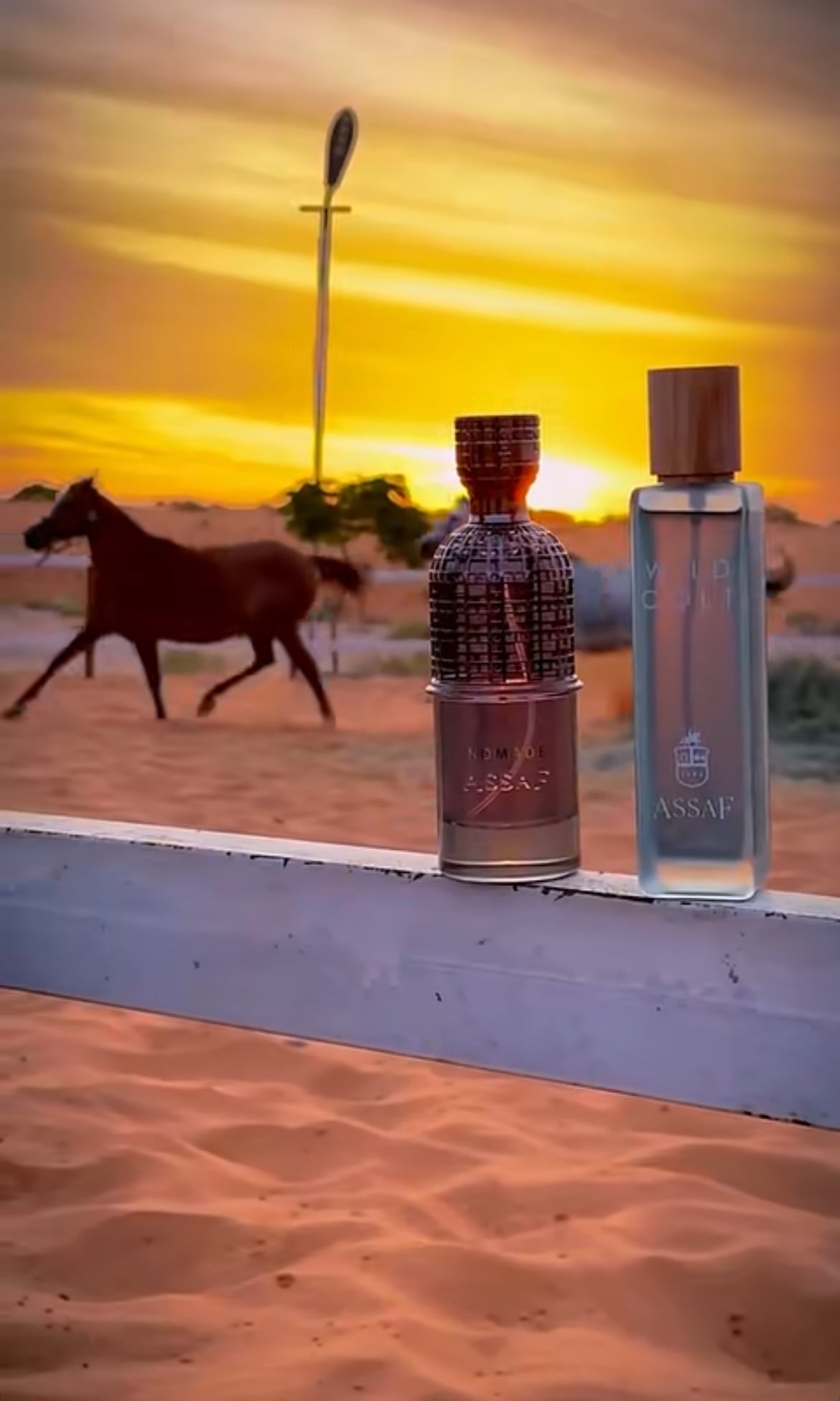 احمد الرويلي-