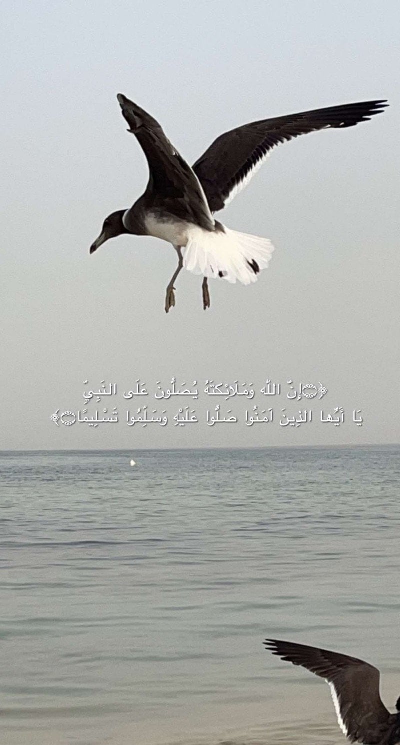 سلوى محمد