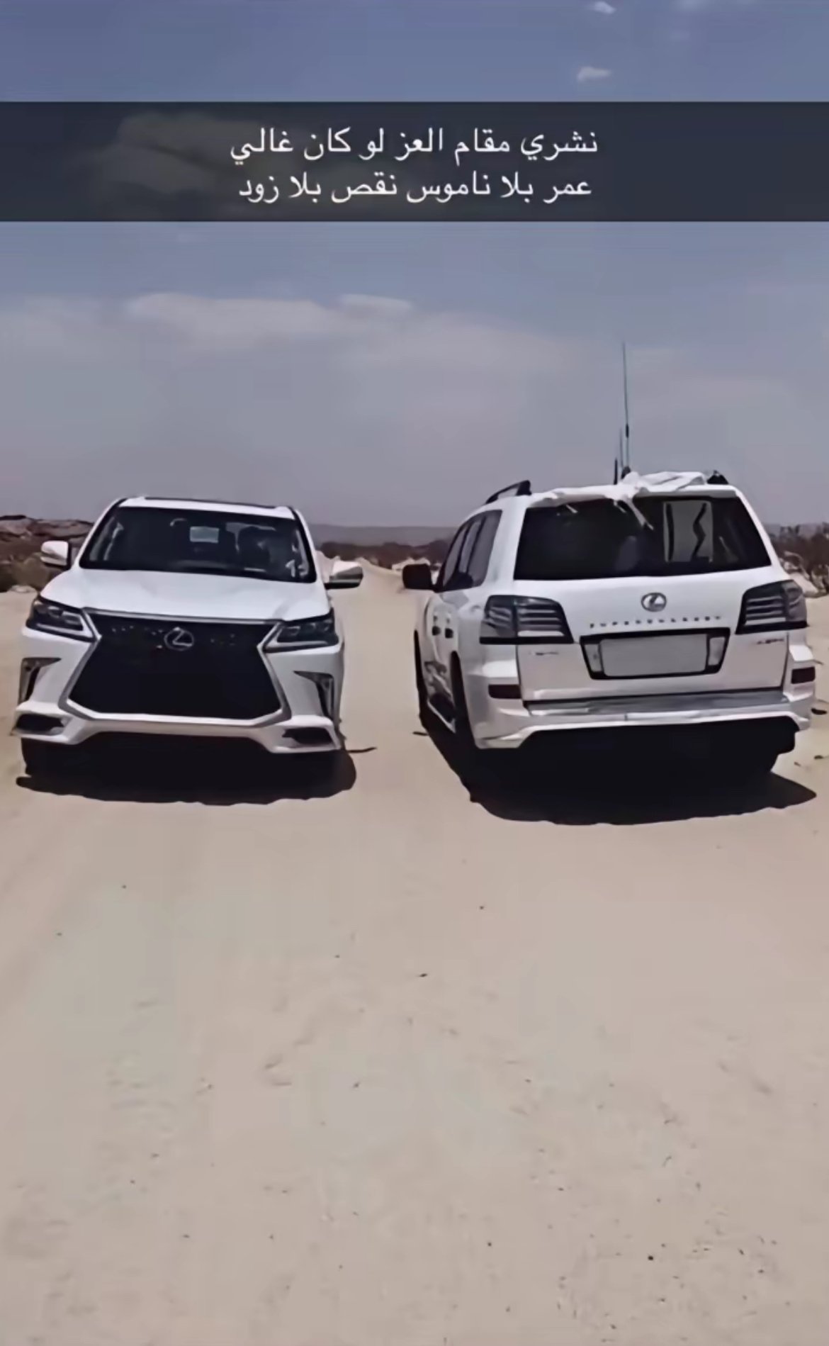 ماجد الكودي
