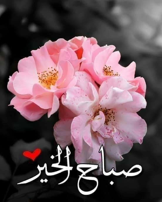امتنان الروقي