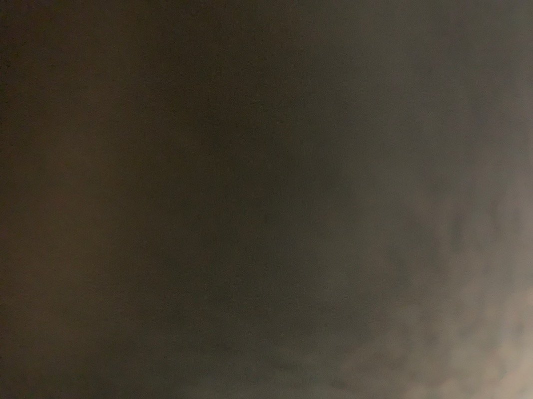 ليلى عبدالله