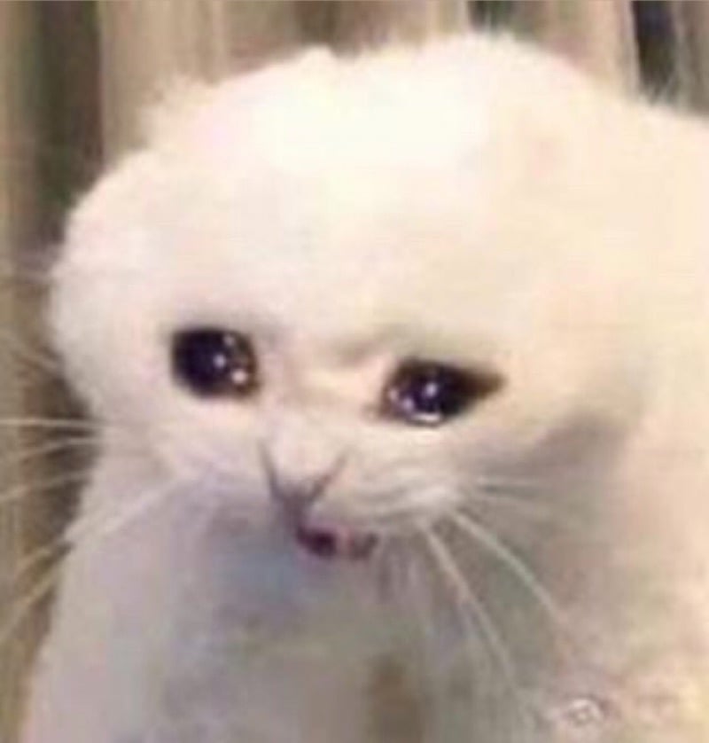 عبدالمجيد س