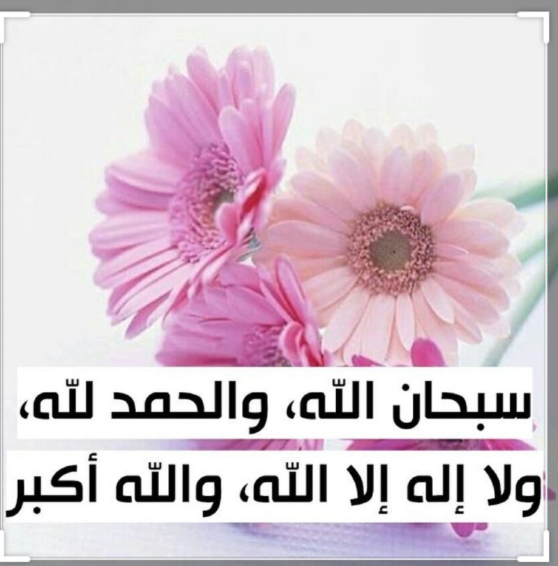 سعيد الزهراني