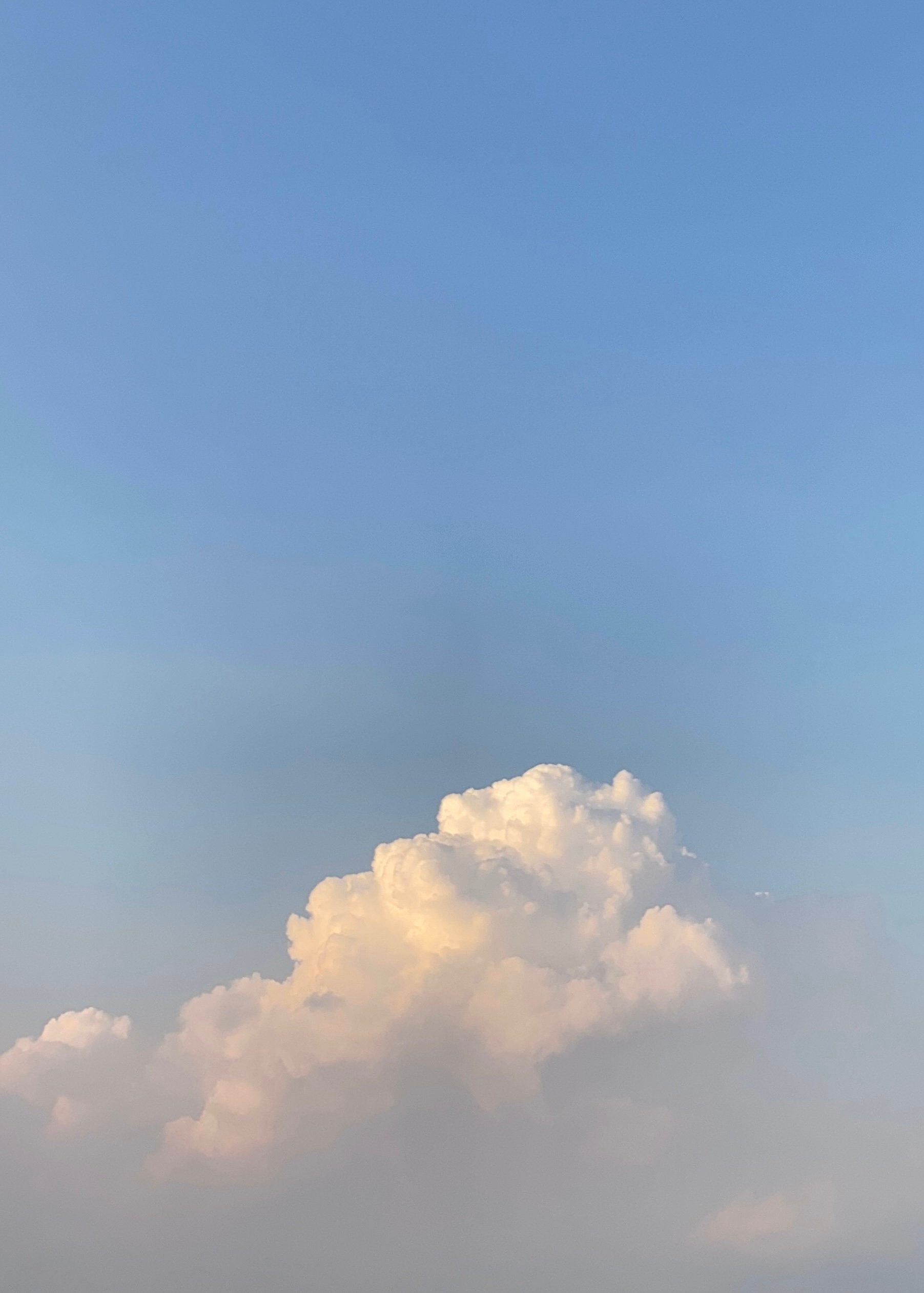 ولف الصيعري