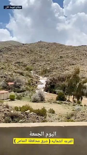 نوال سالم الشهري