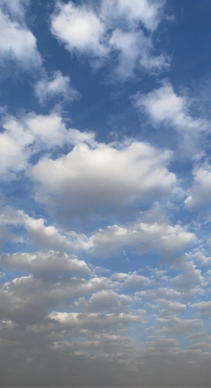 رحاب أم نايف