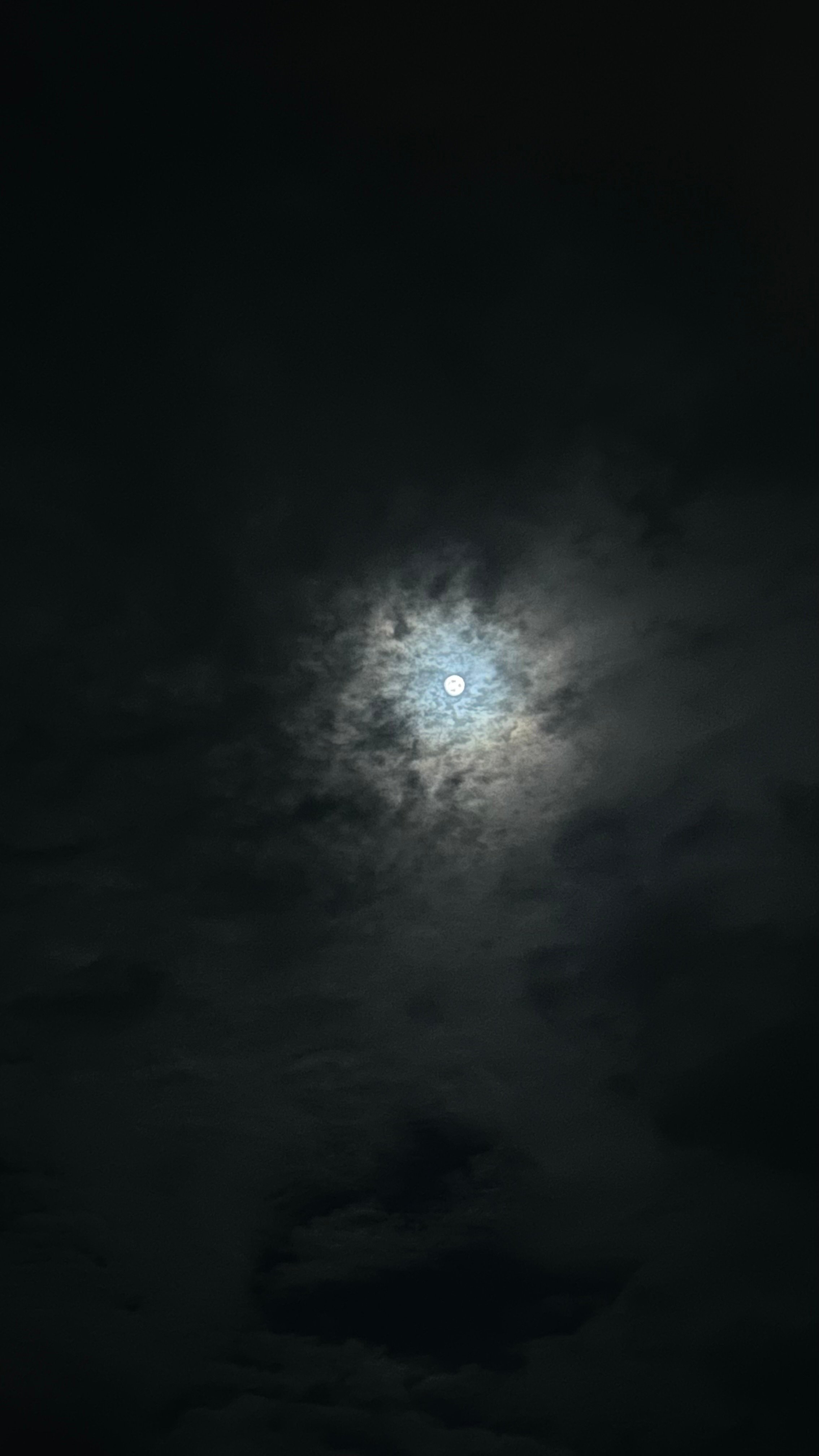 أسيل العيدي