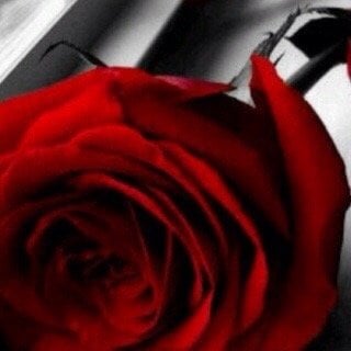 منال الزهراني