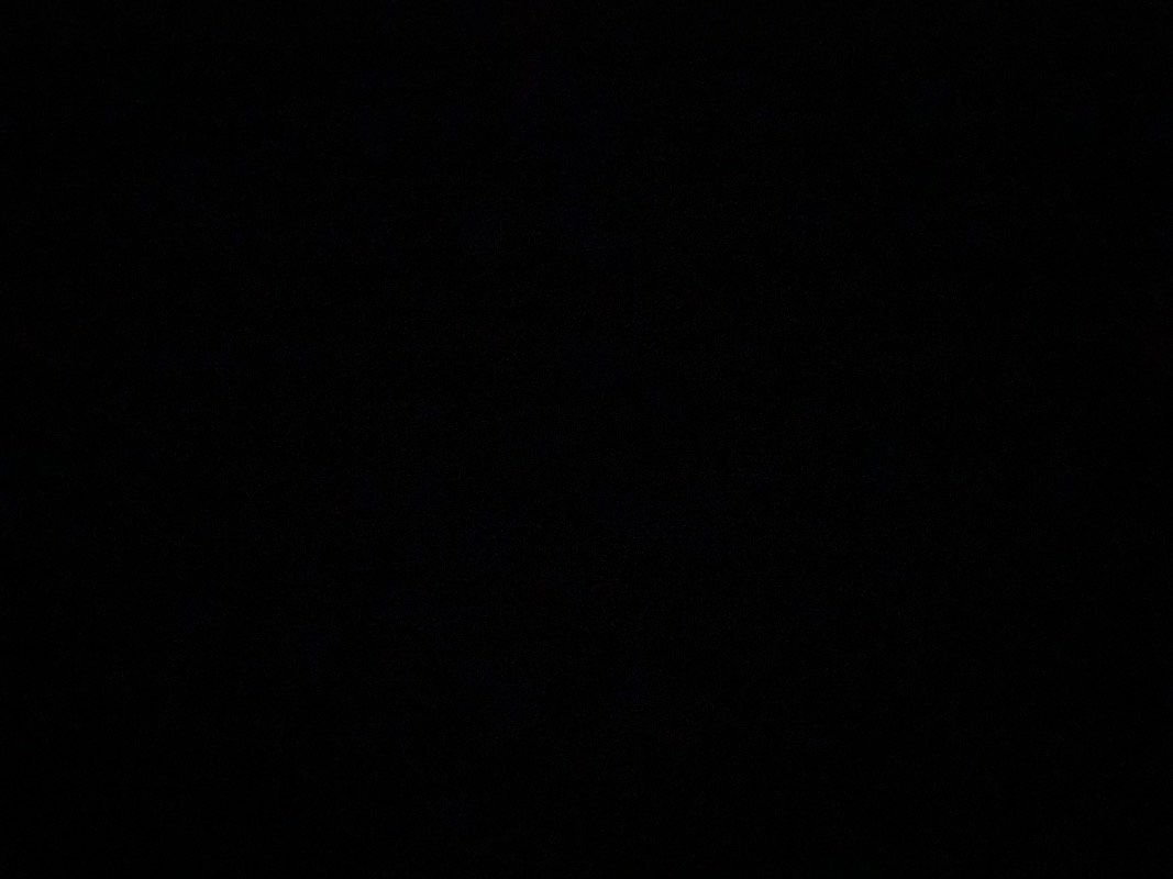 غلا المالكي