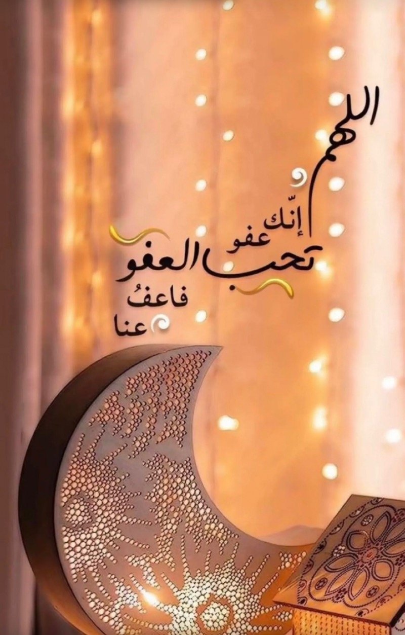 محمد المري