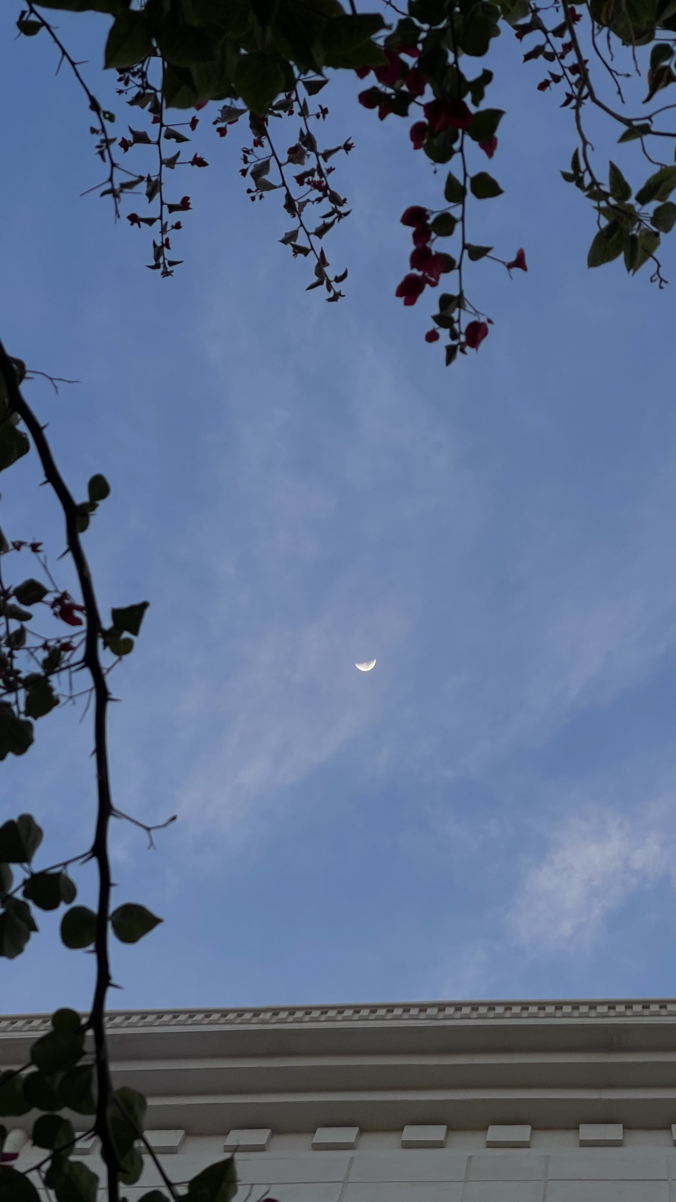 صالح الحميد