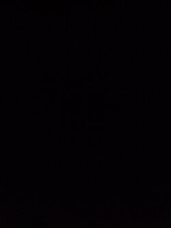 أنور بوجليع