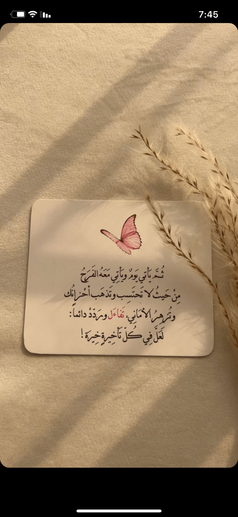 حصه الدوسري