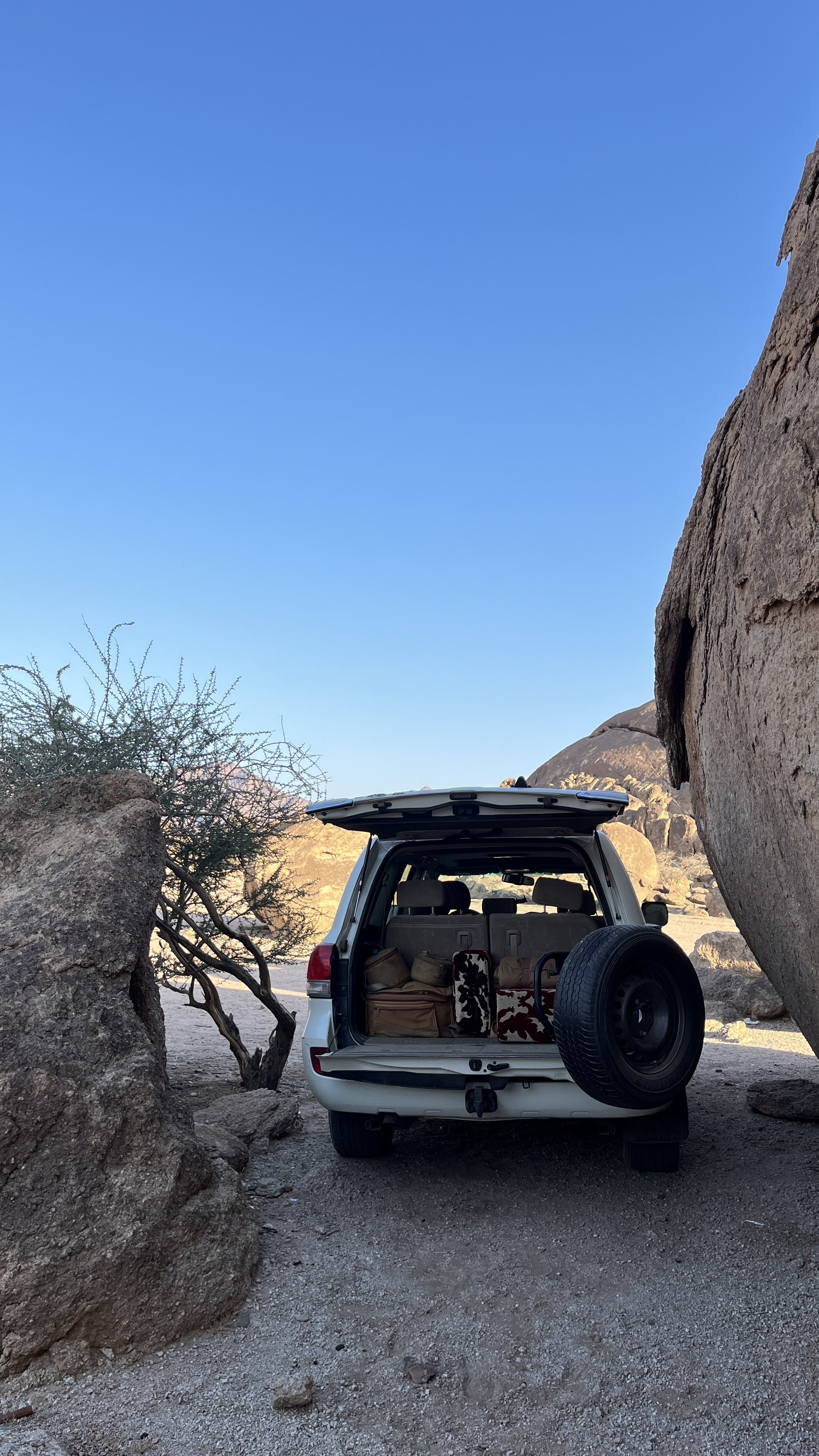 حمد القحطاني