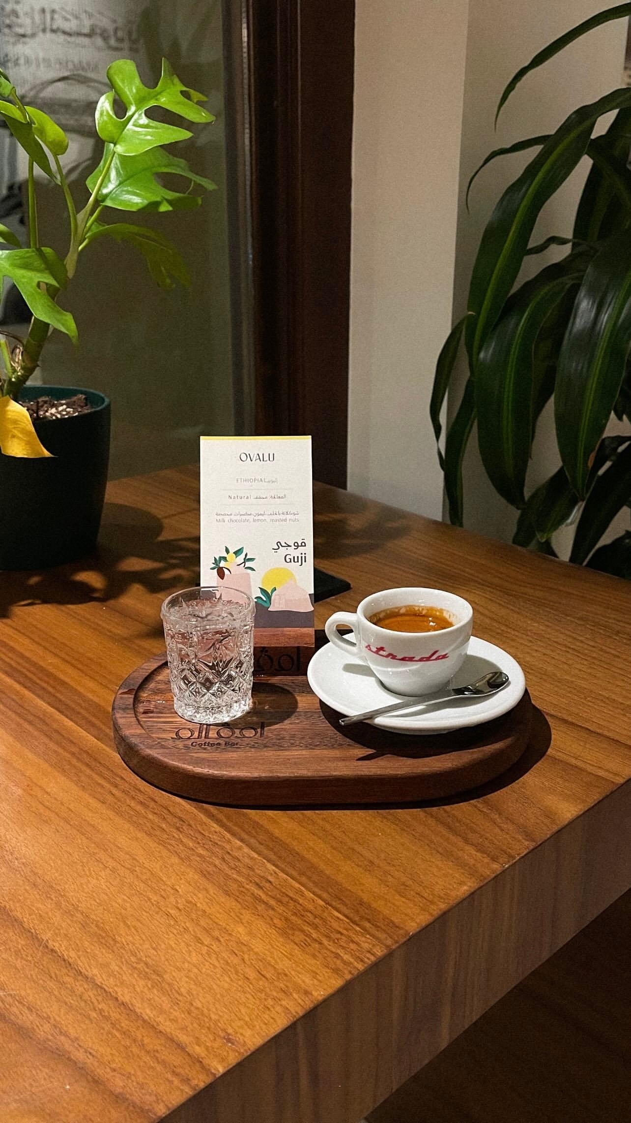 أشواق عبدالله