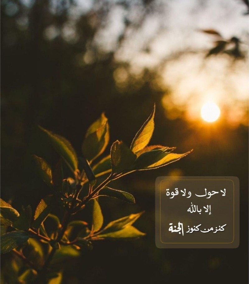 نورة العتيبي
