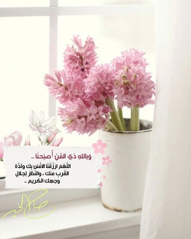 مريم مصطفي