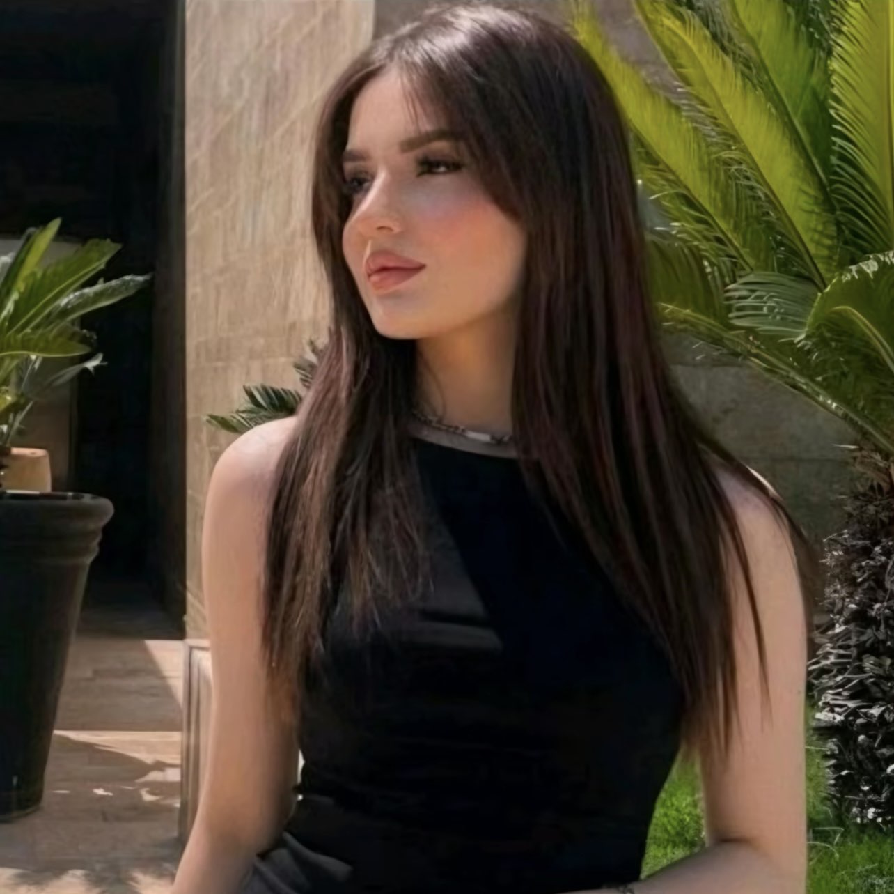احمد شامي