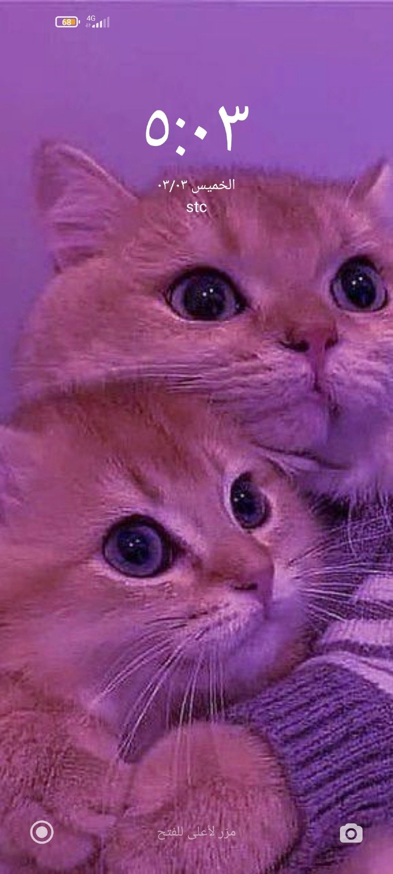 عبدالرحمن فاضل