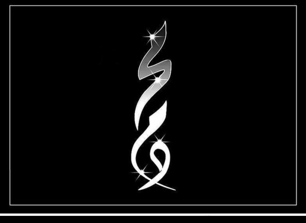 محمد الزارع