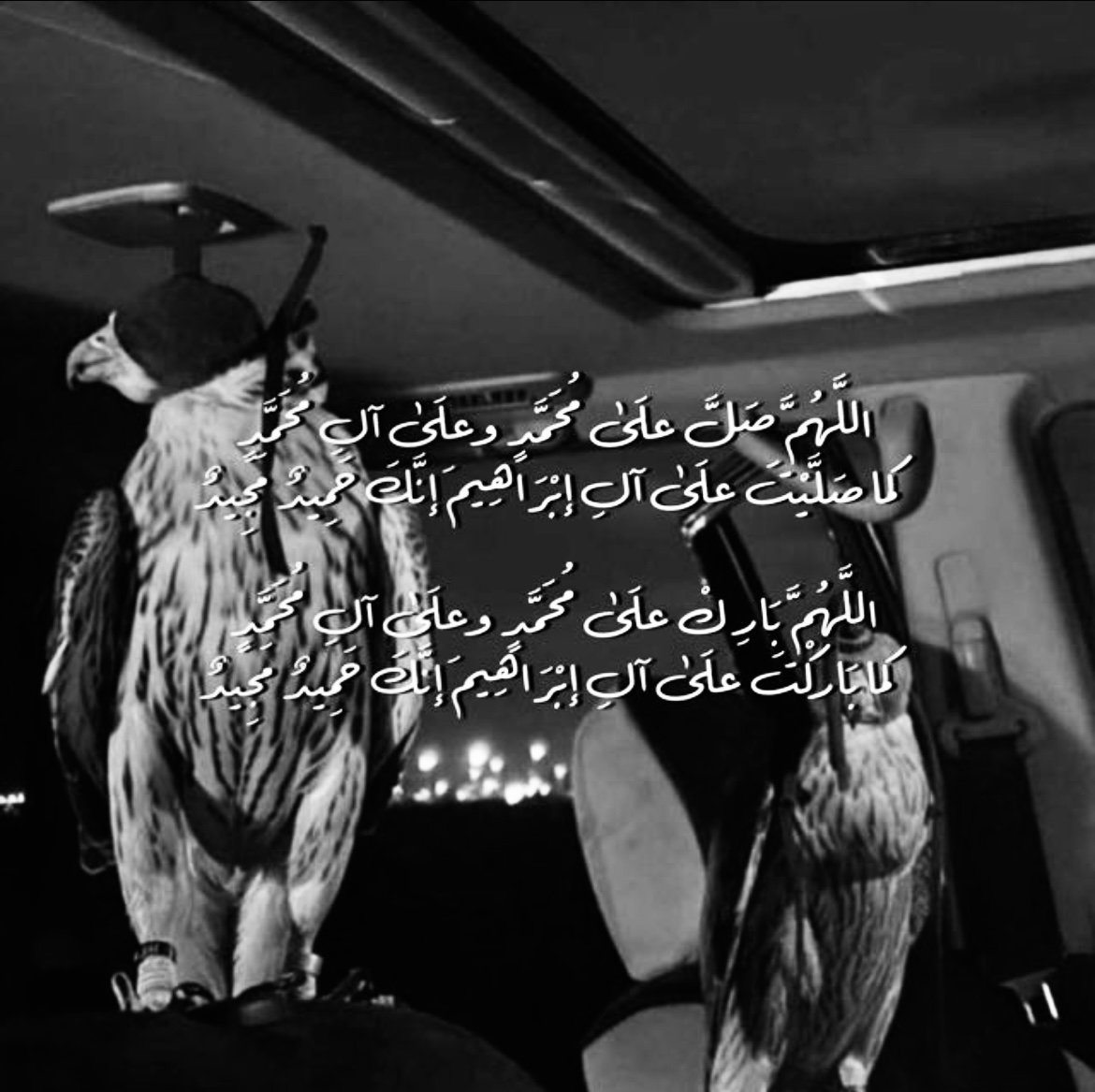 شهد ا الدوسري