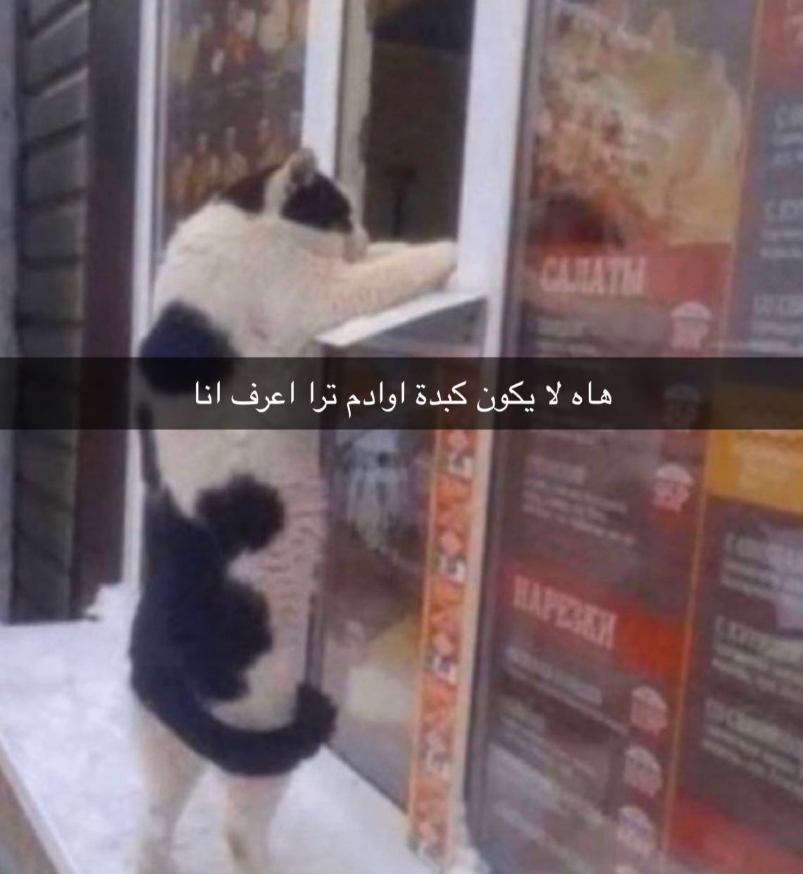 حسين المالكي