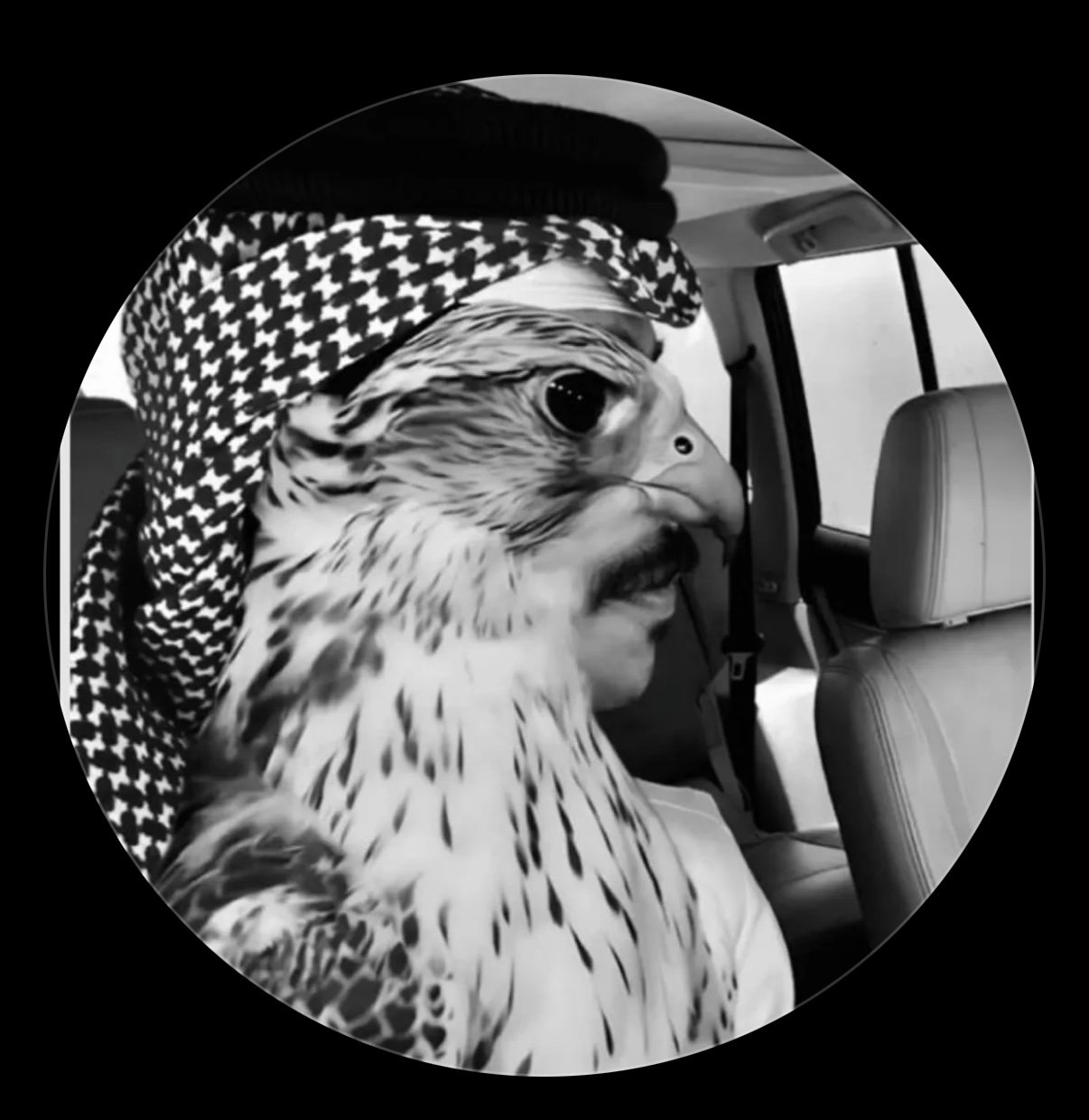 فيصل المحامض