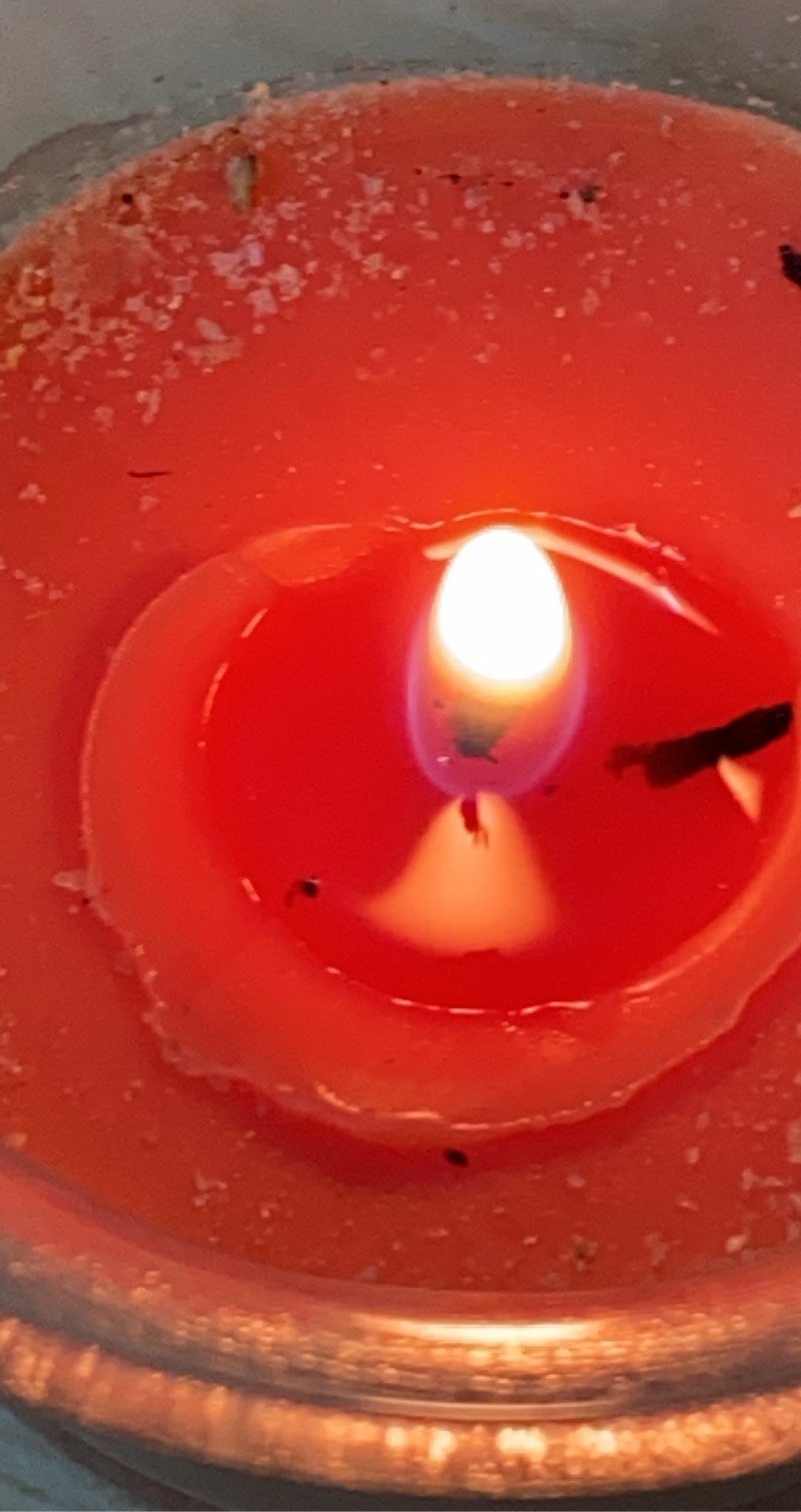 اجوان الشهري