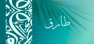 طارق محمد حماد