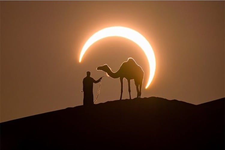 فايز 